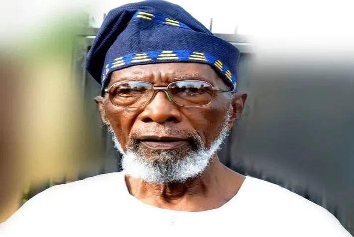 Segun Osoba Biography: Education, Historical Scholarship and Activism